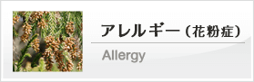 アレルギー（花粉症）